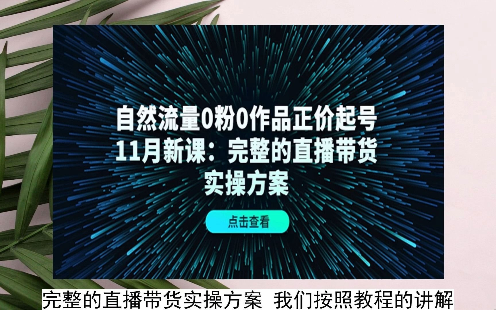 自然流量0粉0作品正价起号11月新课:完整的直播带货实操方案