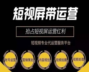 2024年短视频运营实战策略：操盘运营核心方法 留人技巧促单话术 提高流量等