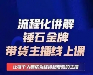 锤石传媒婉婉·金牌带货主播线上课，流程化讲解，打造金牌带货主播