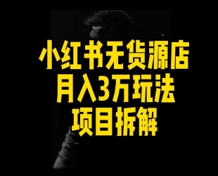 小红书虚拟项目最新玩法，单天1000+纯利(又是保姆级教程文档)